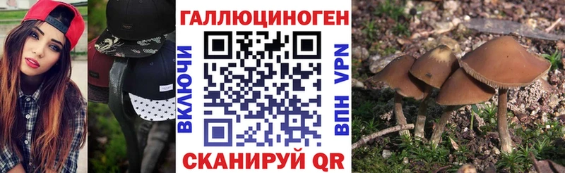 Псилоцибиновые грибы Cubensis  купить наркоту  Усть-Кут 